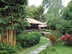 Zeer fraai onderhouden botanisch park on Bang Bao Beach